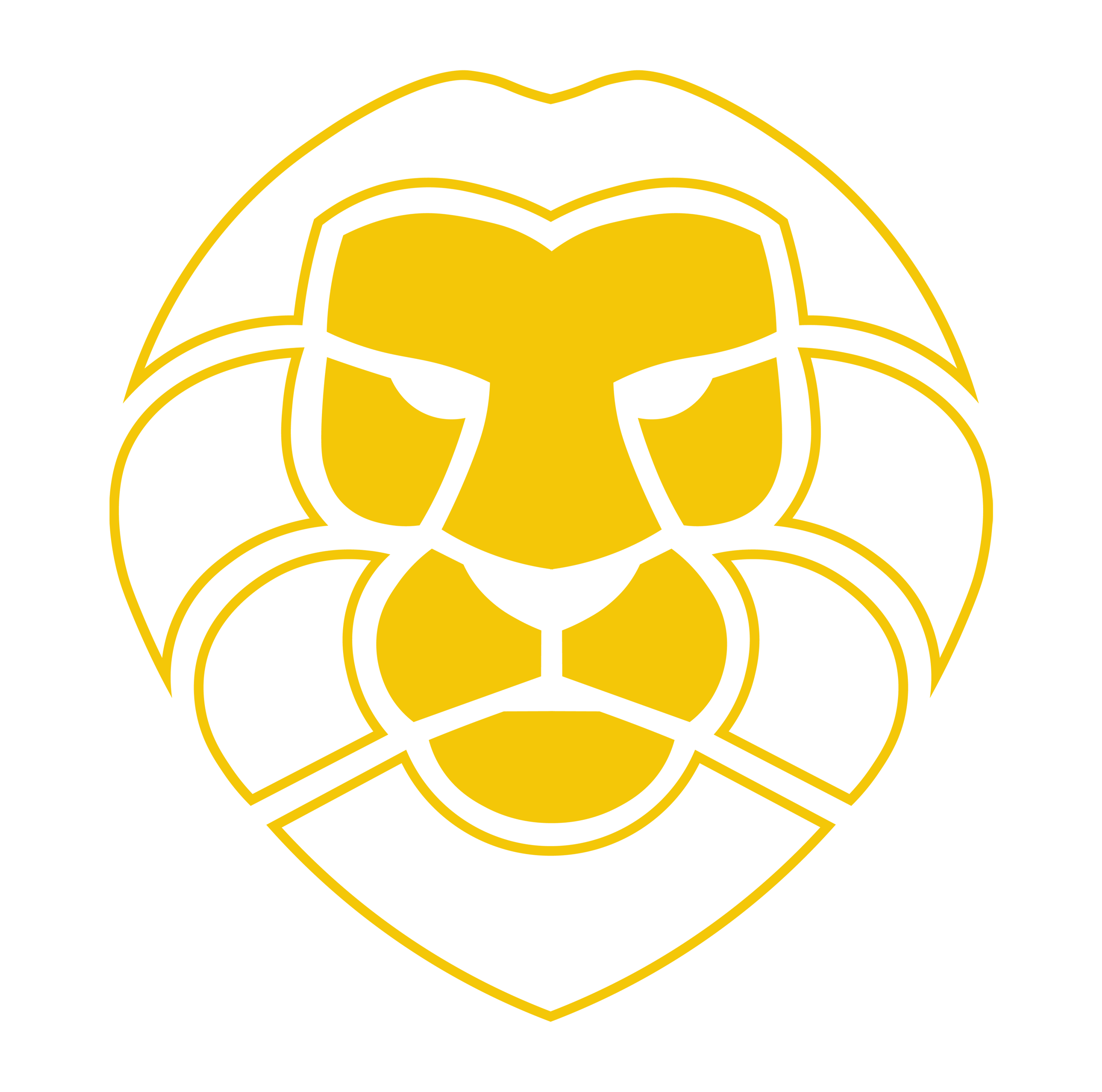 Lion Window Tinting